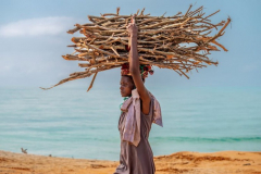 L'oeil du Vazaha -  Regard d'un photographe nantais en Afrique, Denis Rion