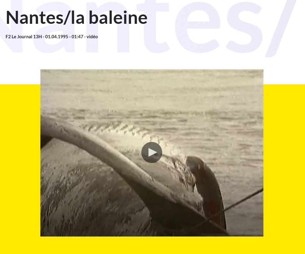 baleine_museum_video_ina.jpg