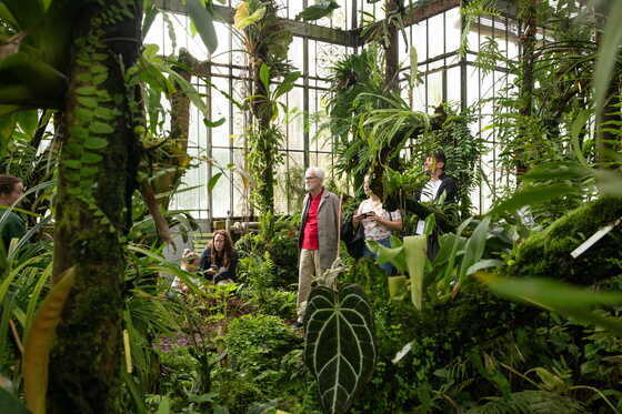 Visite des serres du Jardin des Plantes