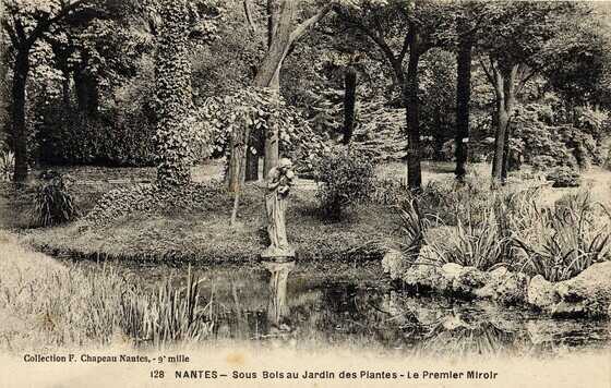 Sous bois au Jardin des Plantes, le « Premier Miroir » de Camille Alaphilippe