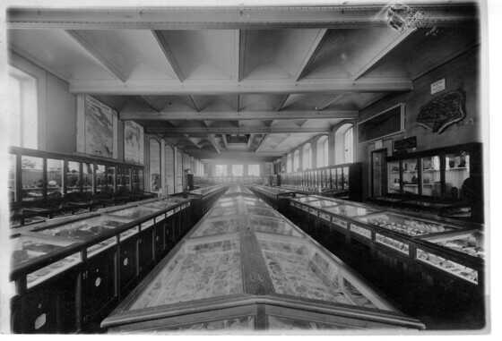 La salle de minéralogie du Muséum d'histoire naturelle