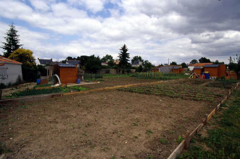Aménagement des parcelles du parc potager