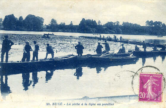 Pêche à la ligne au parellier à Sucé