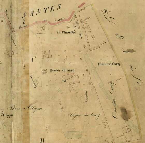 Détail du futur site du couvent des Oblates sur le cadastre parcellaire de la commune de Chantenay