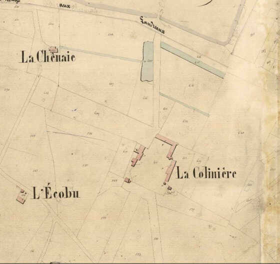 Détail du domaine de la Colinière sur le cadastre parcellaire de la commune de Doulon