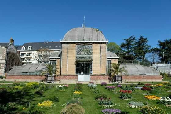 Palmarium du Jardin des Plantes