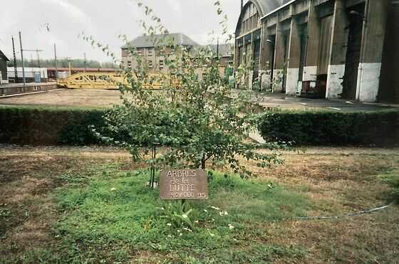 Arbre de la lutte de la cité Nantes-Blottereau