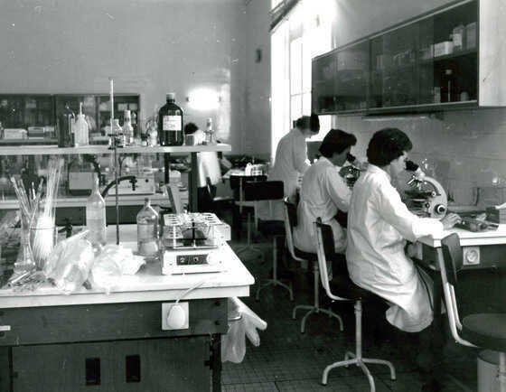 Biologistes du laboratoire départemental d'hygiène et de bactériologie en observation