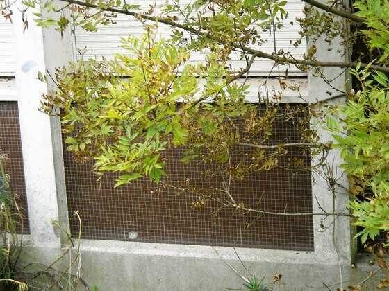 Logements de l’école du Coudray