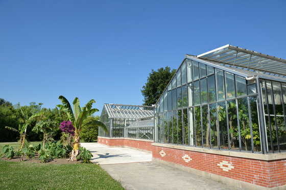 Serres tropicales du Grand Blottereau