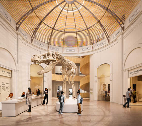 Projet du futur espace d’accueil du Muséum d’Histoire Naturelle, depuis la rue Voltaire