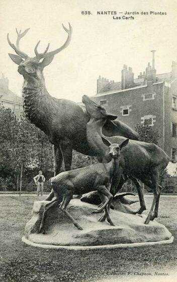 Jardin des Plantes, les Cerfs