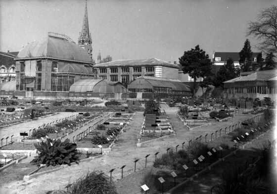 Jardin botanique du Jardin des Plantes