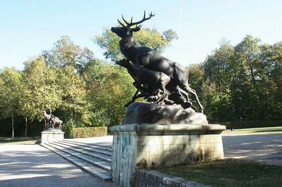 Groupe de cerfs au Parc départemental de Sceaux