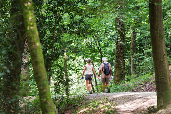 Couple en balade au bord du Cens