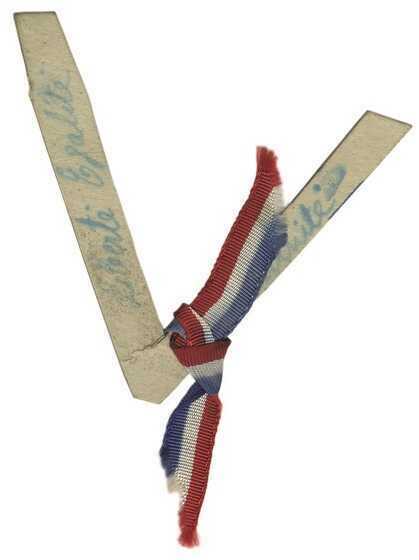 Papillon de la résistance