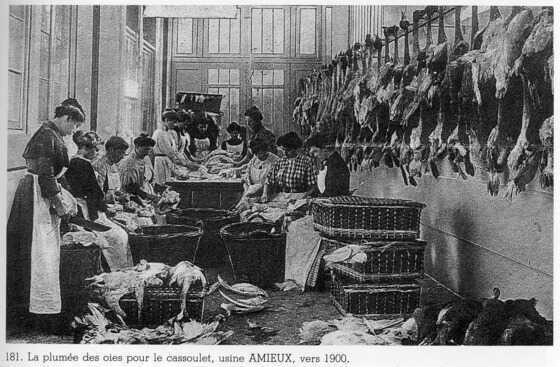 La plumée des oies pour le cassoulet, Usine Amieux, vers 1900