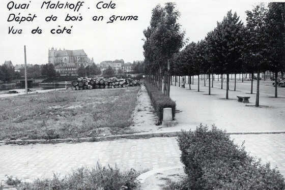 Dépôt de bois en grume sur le quai Malakoff