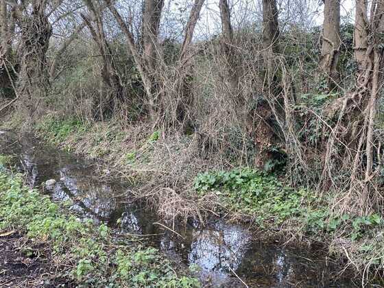 Ancien fossé du chemin du Bas à Doulon