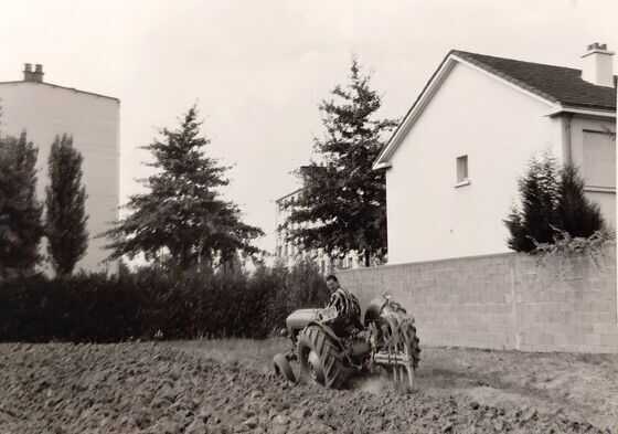 Léon Gergaud en train de labourer les champs dans les années 1960