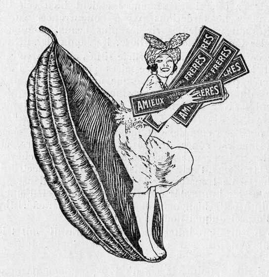 Dessin publicitaire de la chocolaterie Amieux