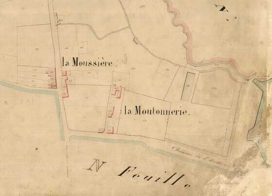 Plan cadastral parcellaire centré sur la propriété de la Moutonnerie