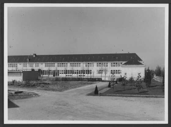 École élémentaire des Marsauderies vue de la cour