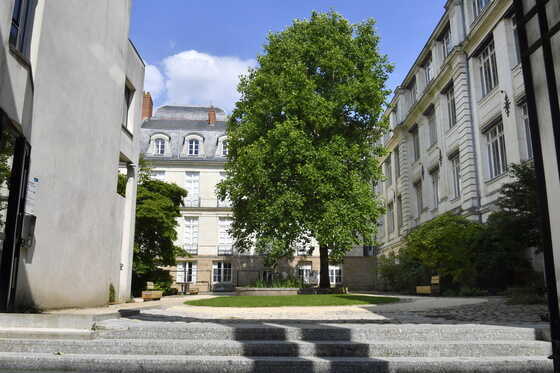 Cour et jardin de l’ancienne école des Beaux-arts