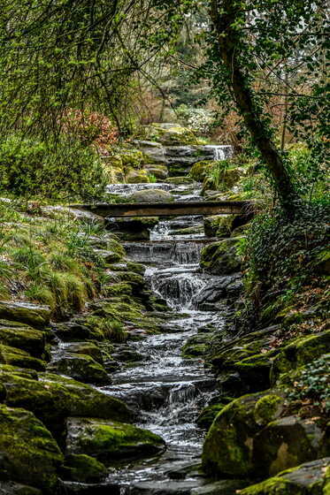 Ruisseau de la Patouillerie