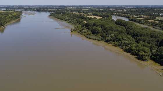 Epis le long de l'île Héron, vus depuis la pointe de l'île Beaulieu