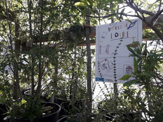 Exposition des affiches des classes de primaire au cours de l’événement Débord de Loire.