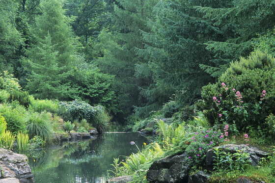 Paysage montagneux du parc de la Gaudinière