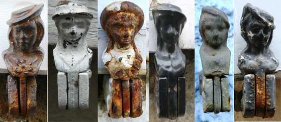 Variété des têtes de bergères