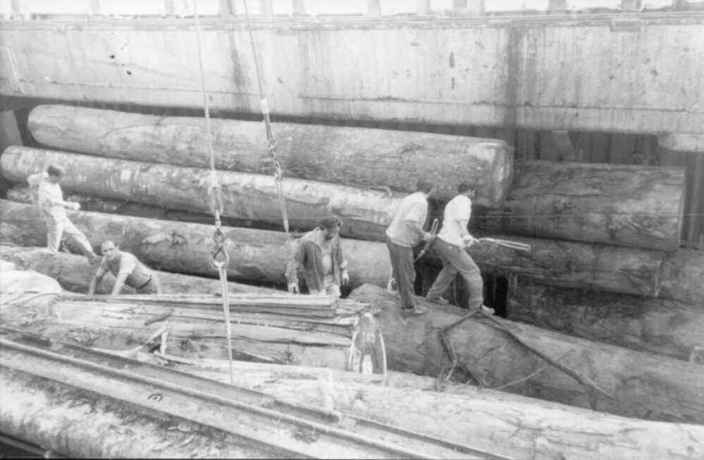 Déchargement d'un grumier dans le port à bois de Cheviré
