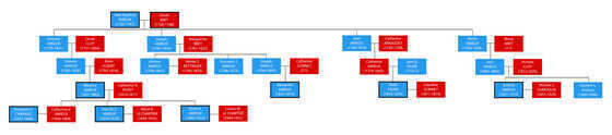 Généalogie simplifiée de la famille Amieux