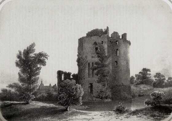 Ruines du château de Machecoul