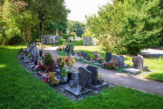 Columbariums et cavurnes du cimetière