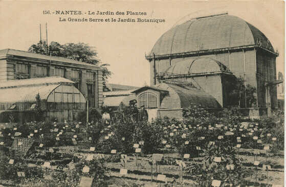Serre du Jardin des Plantes