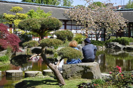 Jardin japonais de l'Île de Versailles