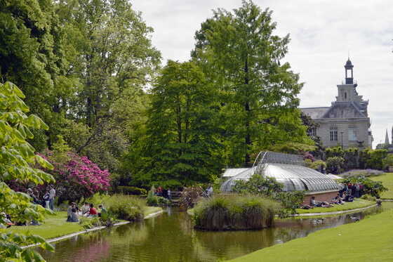 Serre de l’île aux palmiers du Jardin des Plantes