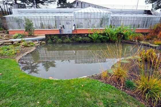 Serre des Canaries du Jardin des Plantes